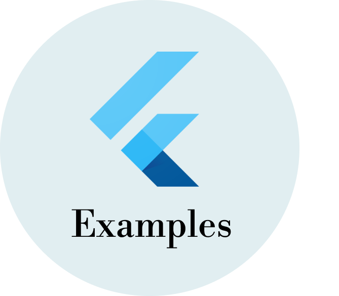 Flutter Example's Snippet